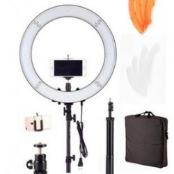 High Quality Cycle Adjustable Light #LL004