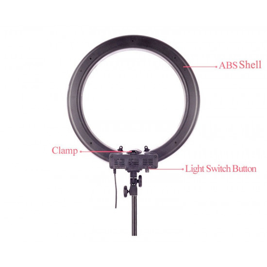 High Quality Cycle Adjustable Light #LL004