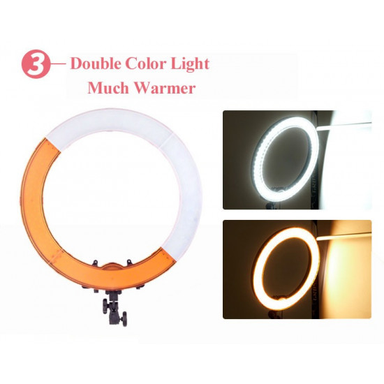 High Quality Cycle Adjustable Light #LL004