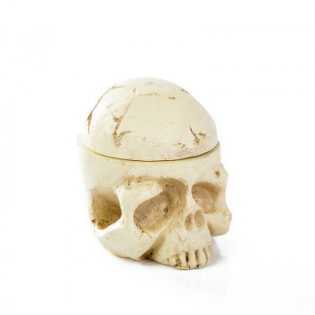 Skull Ink Cup Holder #CH008