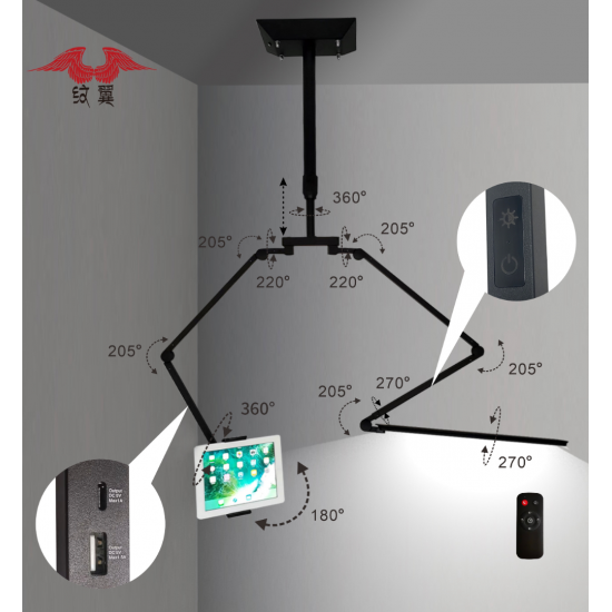 Wall Handing Light & Ceiling Mounted Light #LL008
